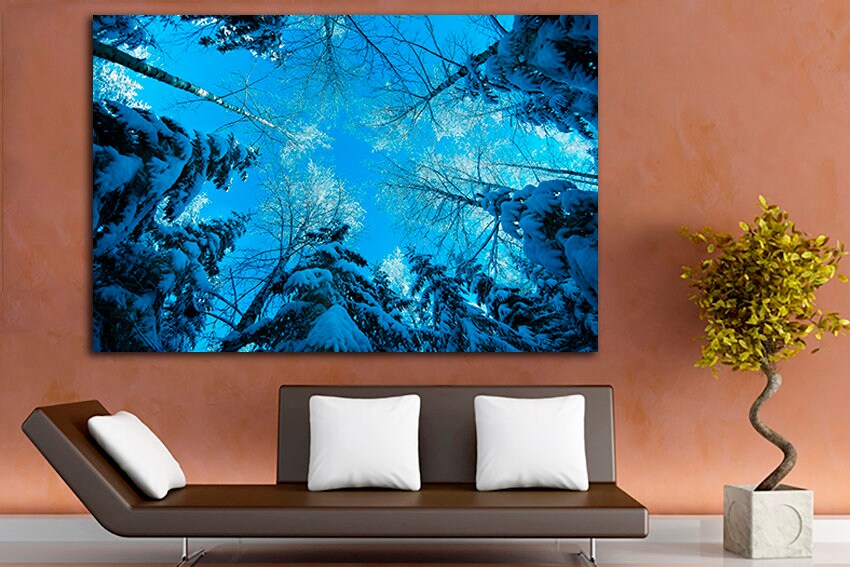 Winter forest art Snow canvas Birch treetop sky print Snowy decor Nature artwork