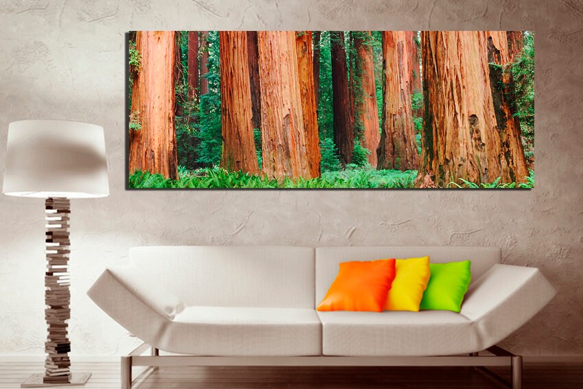 Sequoia tree art Forest canvas Redwood print California decor National park art Nature home art Forest artwork Fine artwork Ready to hang