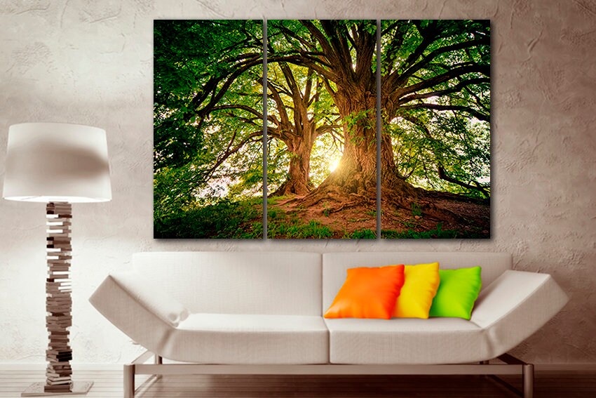 Old tree canvas Forest wall décor Nature art Green home print Majestic tree Lights of sun Landscape decor