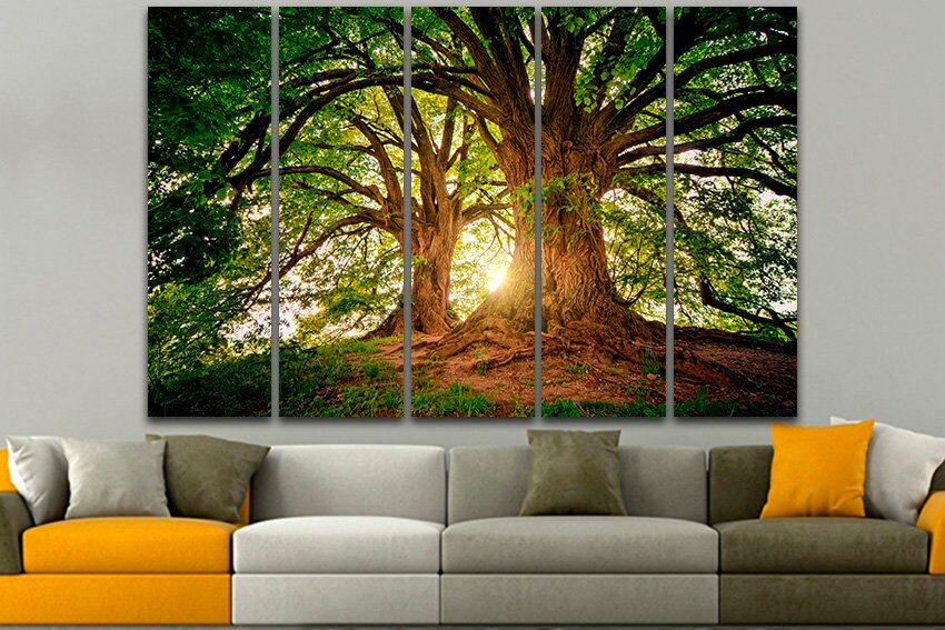 Old tree canvas Forest wall décor Nature art Green home print Majestic tree Lights of sun Landscape decor