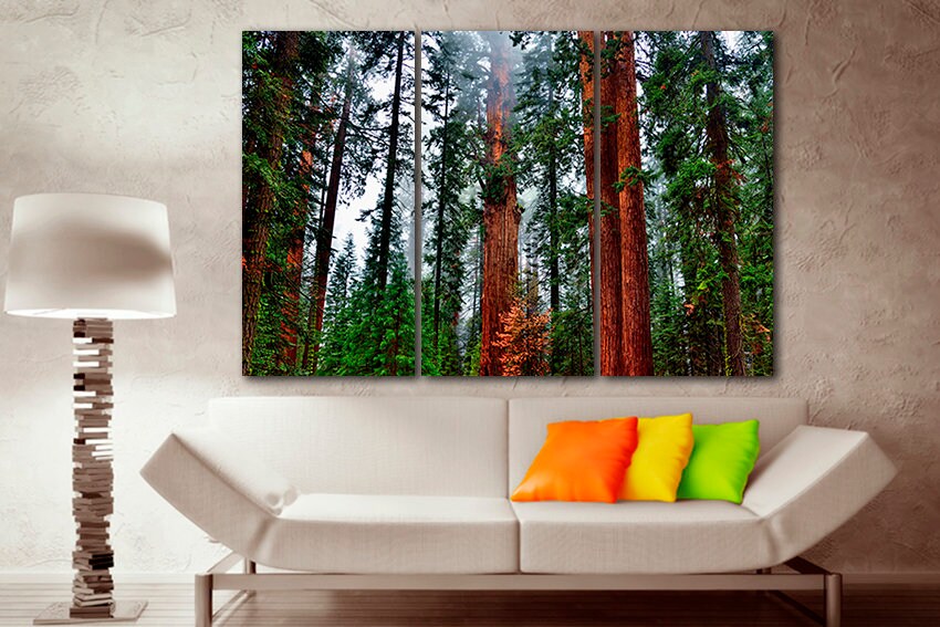 Sequoia canvas Forest wall art Redwood print California decor National park Nature tree trunk artwork Ready to hang