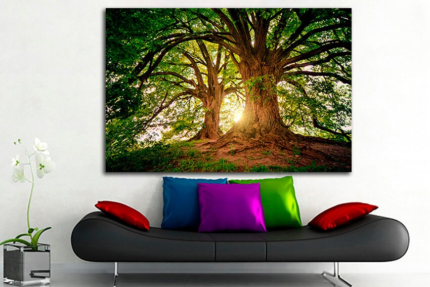 Old tree canvas Forest wall décor Nature art Green home print Majestic tree Lights of sun Landscape decor