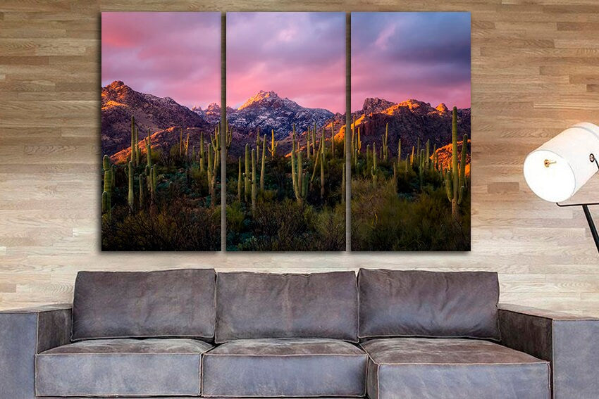 Canvas ready to hang Sabino Canyon Cactus wall print Sunset ecor National park US Coronado forest Catalina mountains nature