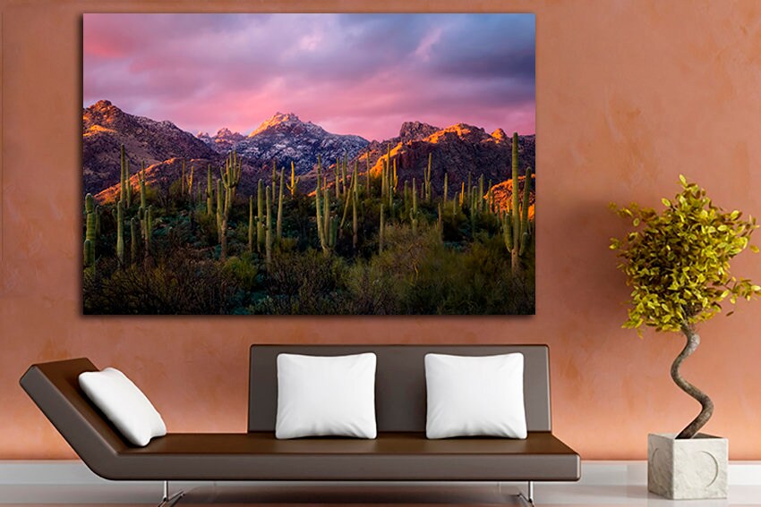 Canvas ready to hang Sabino Canyon Cactus wall print Sunset ecor National park US Coronado forest Catalina mountains nature