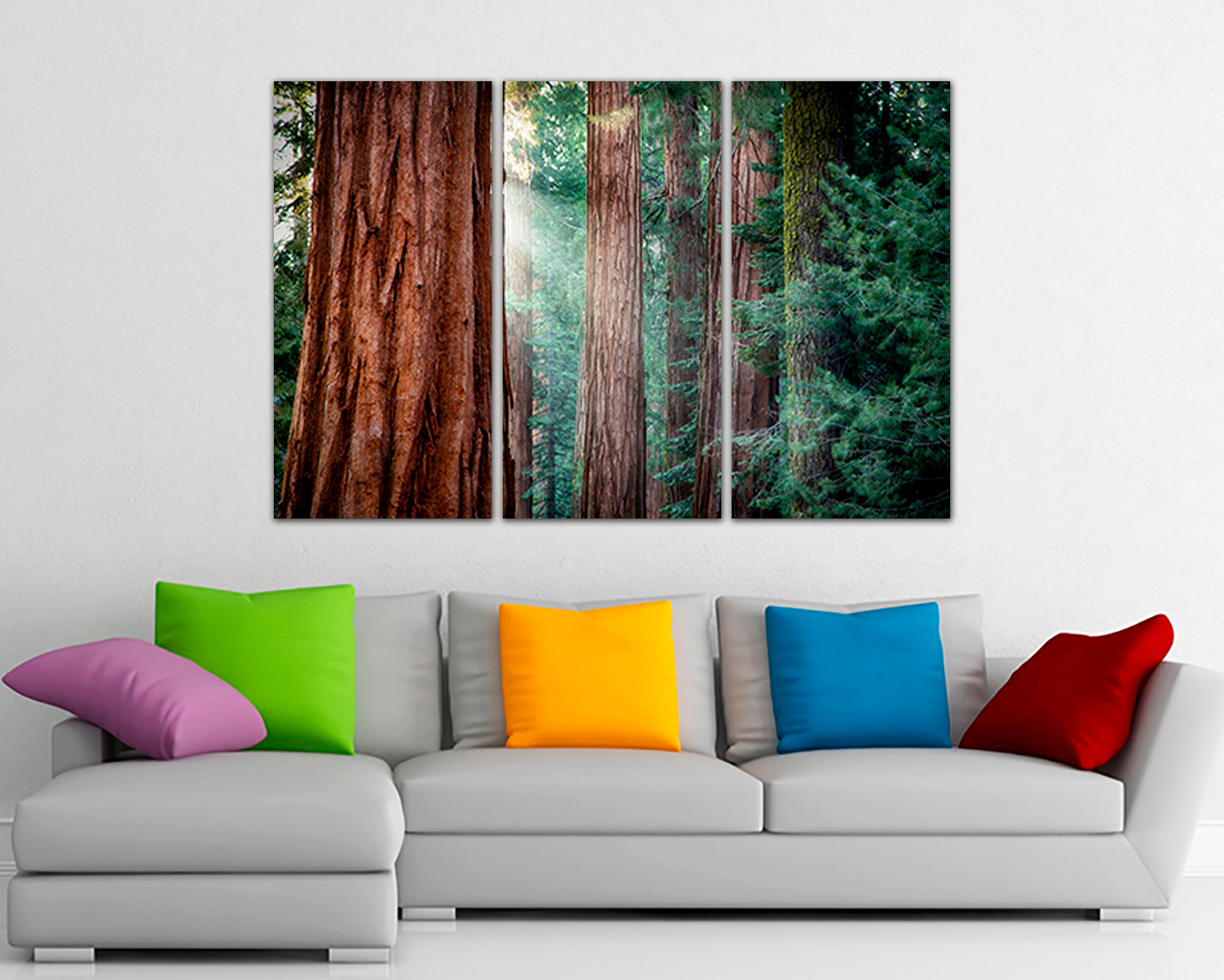 Redwood forest Wall art canvas Tree print Nature home decor California National park Sunlight gift Red tree flora photo