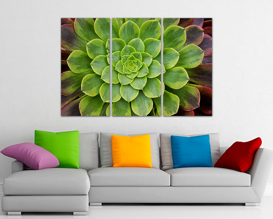 Cactus canvas Botanical decor Flower wall art Plant Succulent photo