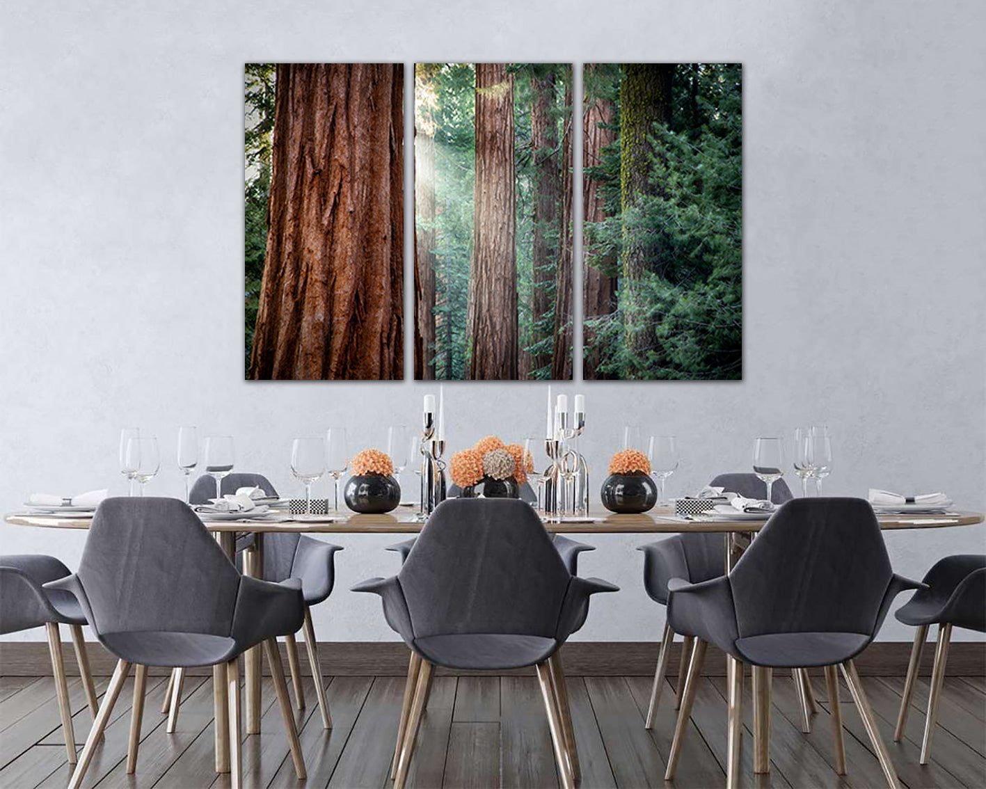 Redwood forest Wall art canvas Tree print Nature home decor California National park Sunlight gift Red tree flora photo