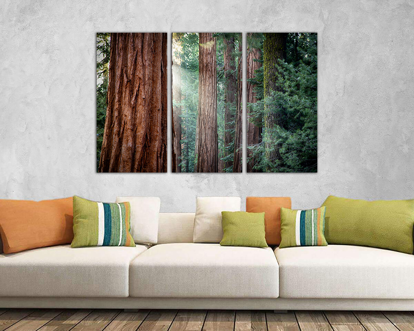 Redwood forest Wall art canvas Tree print Nature home decor California National park Sunlight gift Red tree flora photo