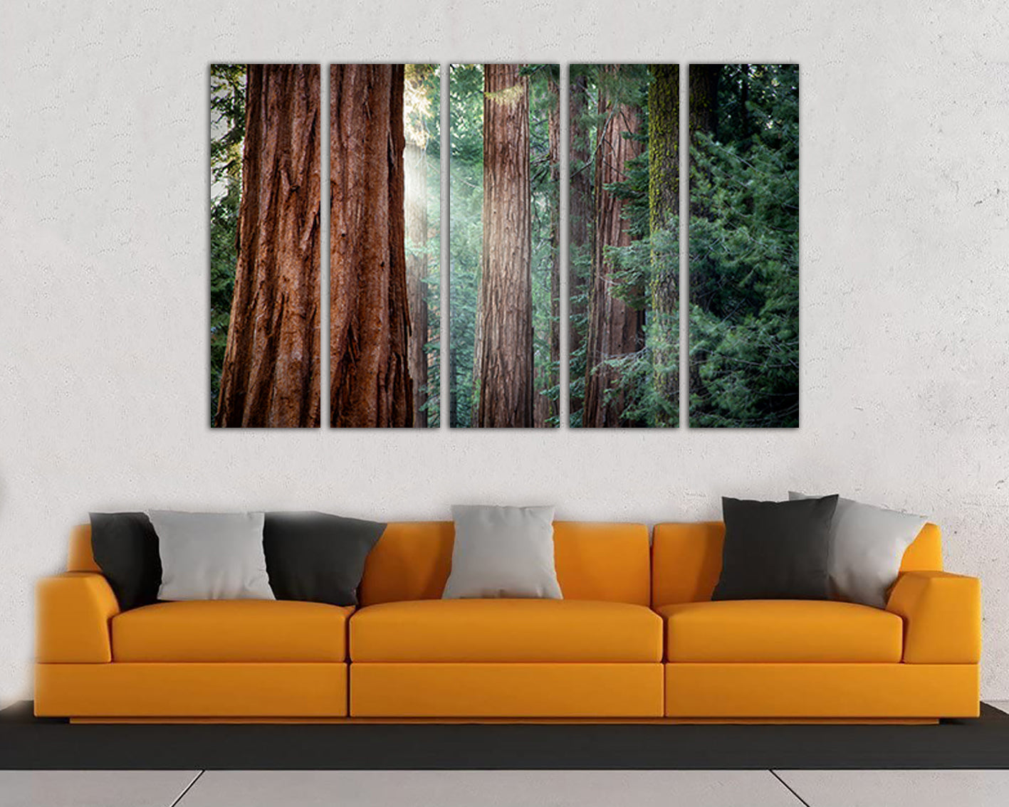 Redwood forest Wall art canvas Tree print Nature home decor California National park Sunlight gift Red tree flora photo