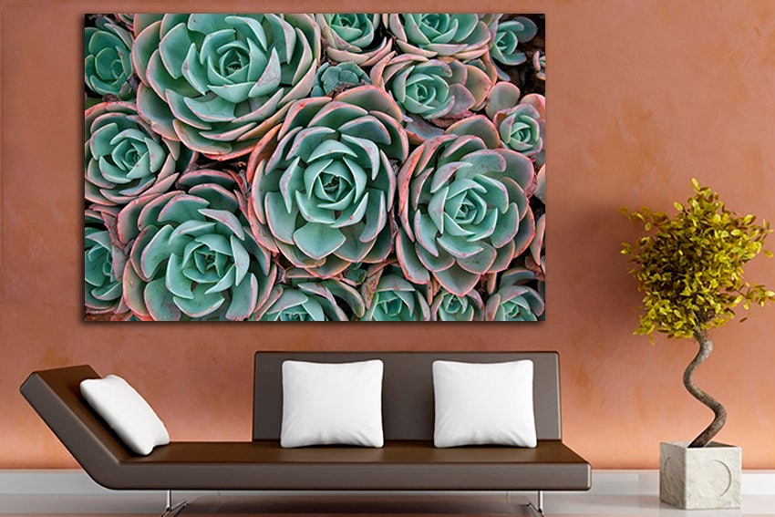 Succulent canvas set Flower wall print Gift for florist