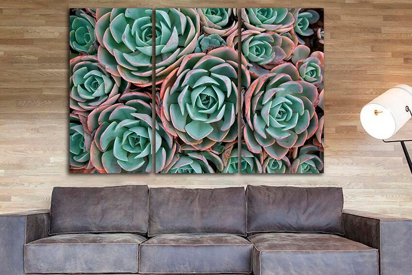 Succulent canvas set Flower wall print Gift for florist
