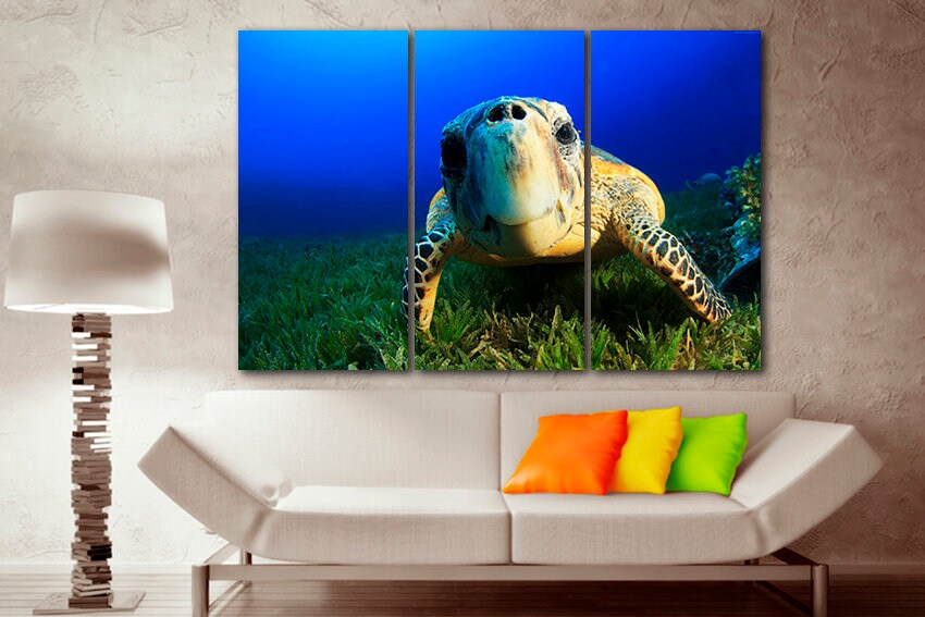 Sea turtle canvas Animals decor Atlantic ocean life Sealife print Nature wall art