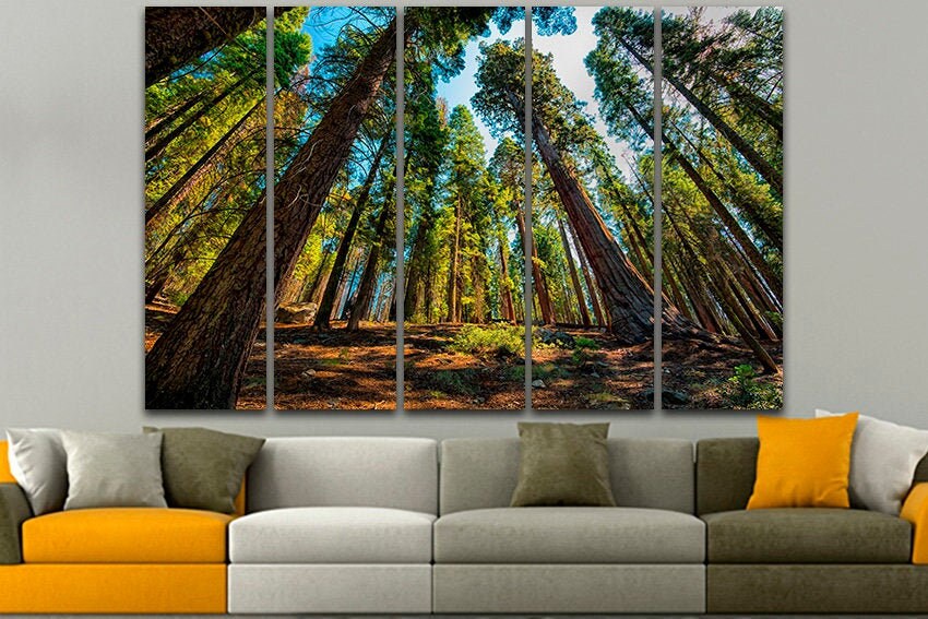 Sequoia wall art Forest canvas Trees décor Kings National Park Redwood Nature home artwork Yosemite