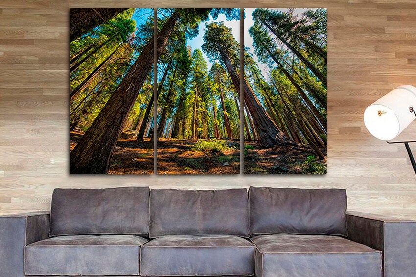 Sequoia wall art Forest canvas Trees décor Kings National Park Redwood Nature home artwork Yosemite