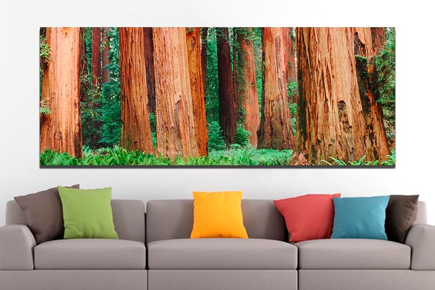 Sequoia tree art Forest canvas Redwood print California decor National park art Nature home art Forest artwork Fine artwork Ready to hang