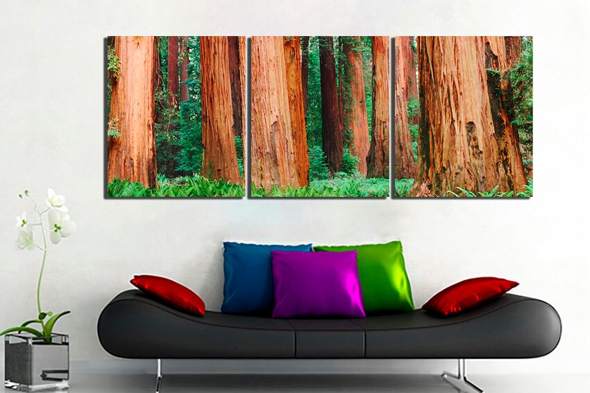 Sequoia tree art Forest canvas Redwood print California decor National park art Nature home art Forest artwork Fine artwork Ready to hang