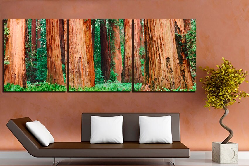 Sequoia tree art Forest canvas Redwood print California decor National park art Nature home art Forest artwork Fine artwork Ready to hang
