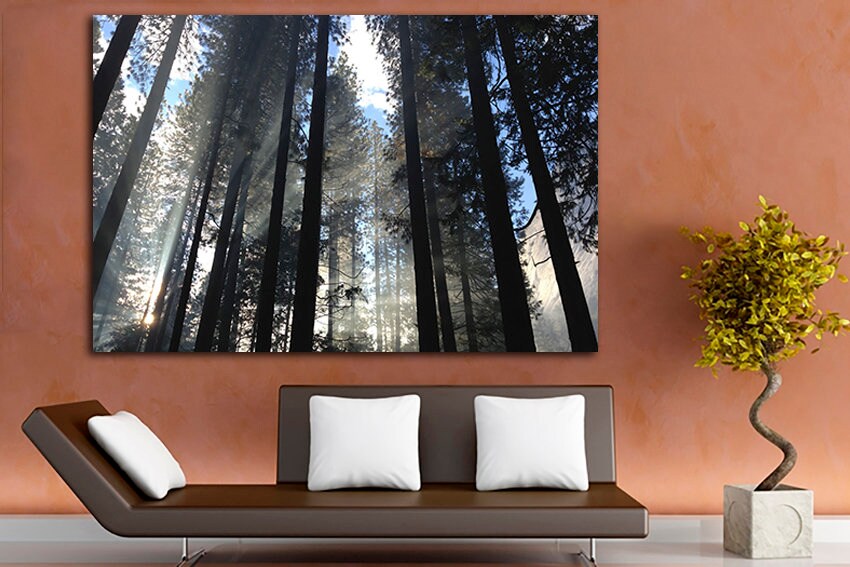 Forest canvas Winter wall print Branch décor Trees art Nature photo