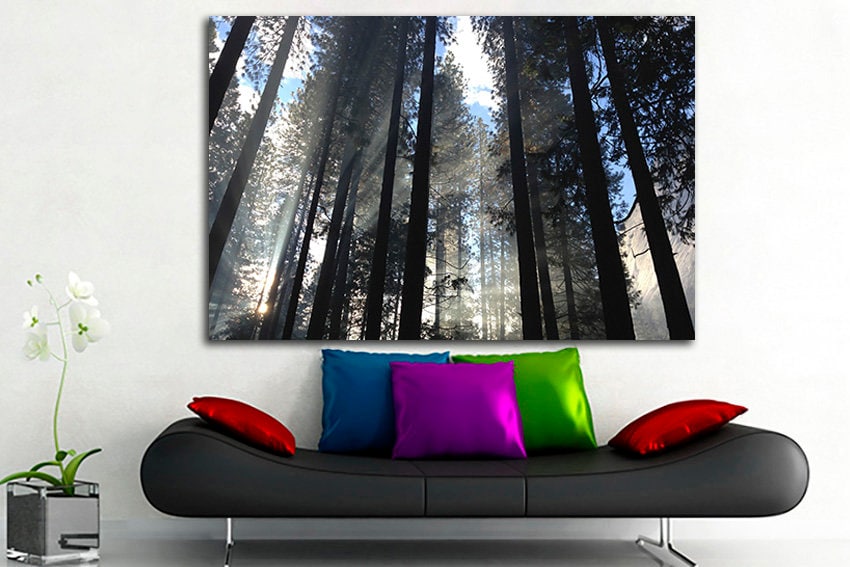 Forest canvas Winter wall print Branch décor Trees art Nature photo